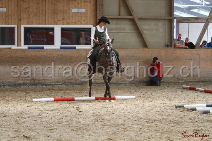 26-ApHC GT_123.jpg